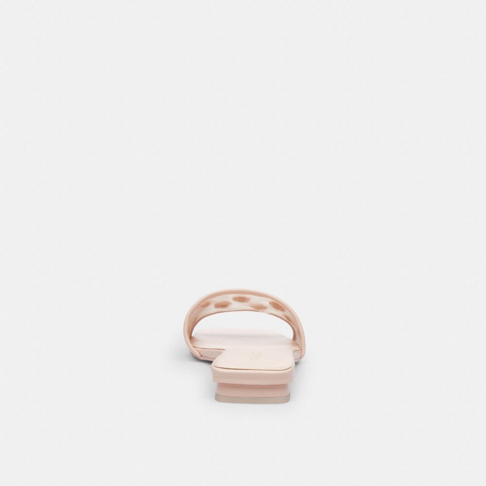 Flat Sandal With Tea Rose