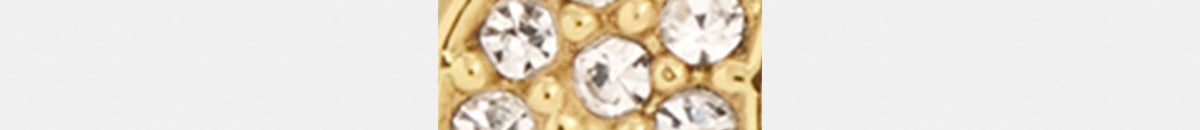 Signature Clip-On Earrings