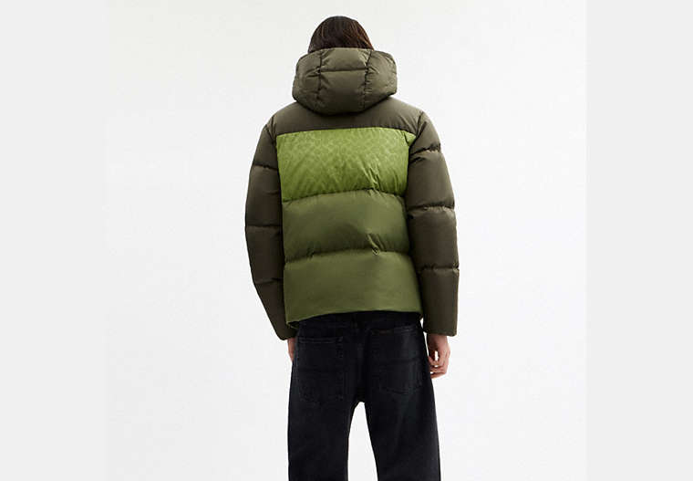 Colorblock Down Jacket