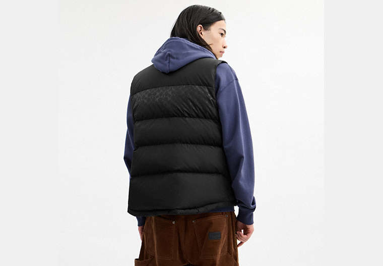 Reversible Colorblock Down Vest
