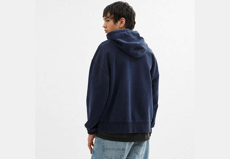 Horse And Carriage Hoodie