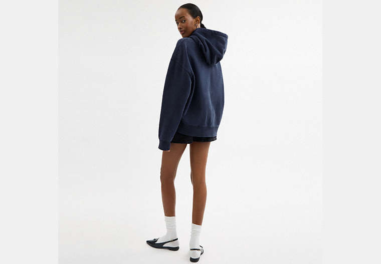 Horse And Carriage Hoodie