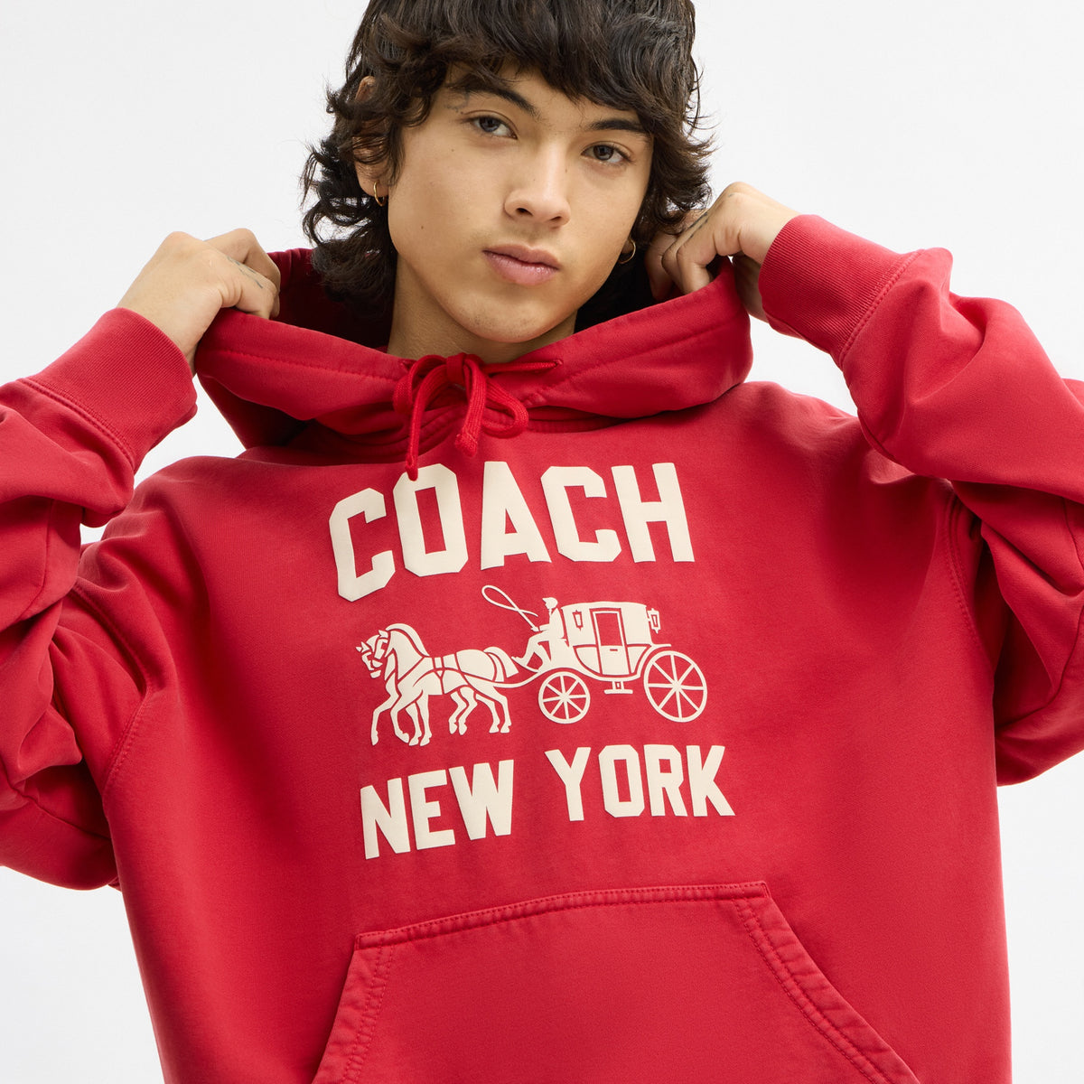 Horse And Carriage Hoodie