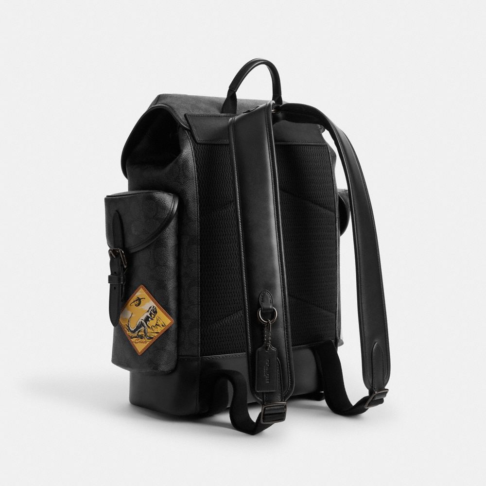 Hitch Backpack