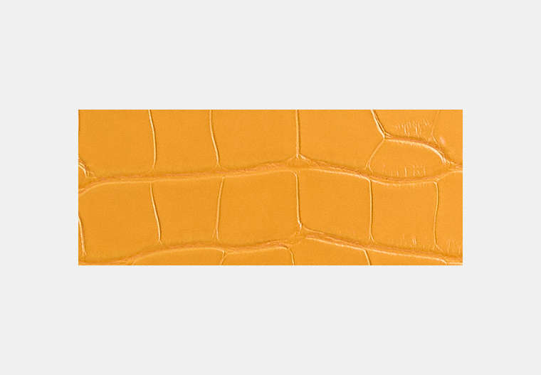 Reloved Zip Geometric Pouch In Alligator