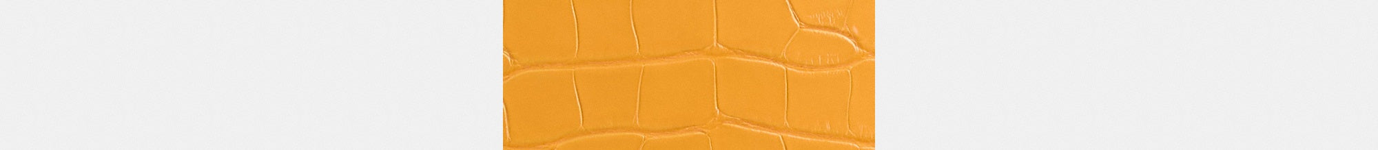 Reloved Zip Geometric Pouch In Alligator