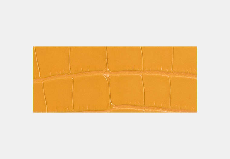 Reloved Zip Geometric Pouch In Alligator