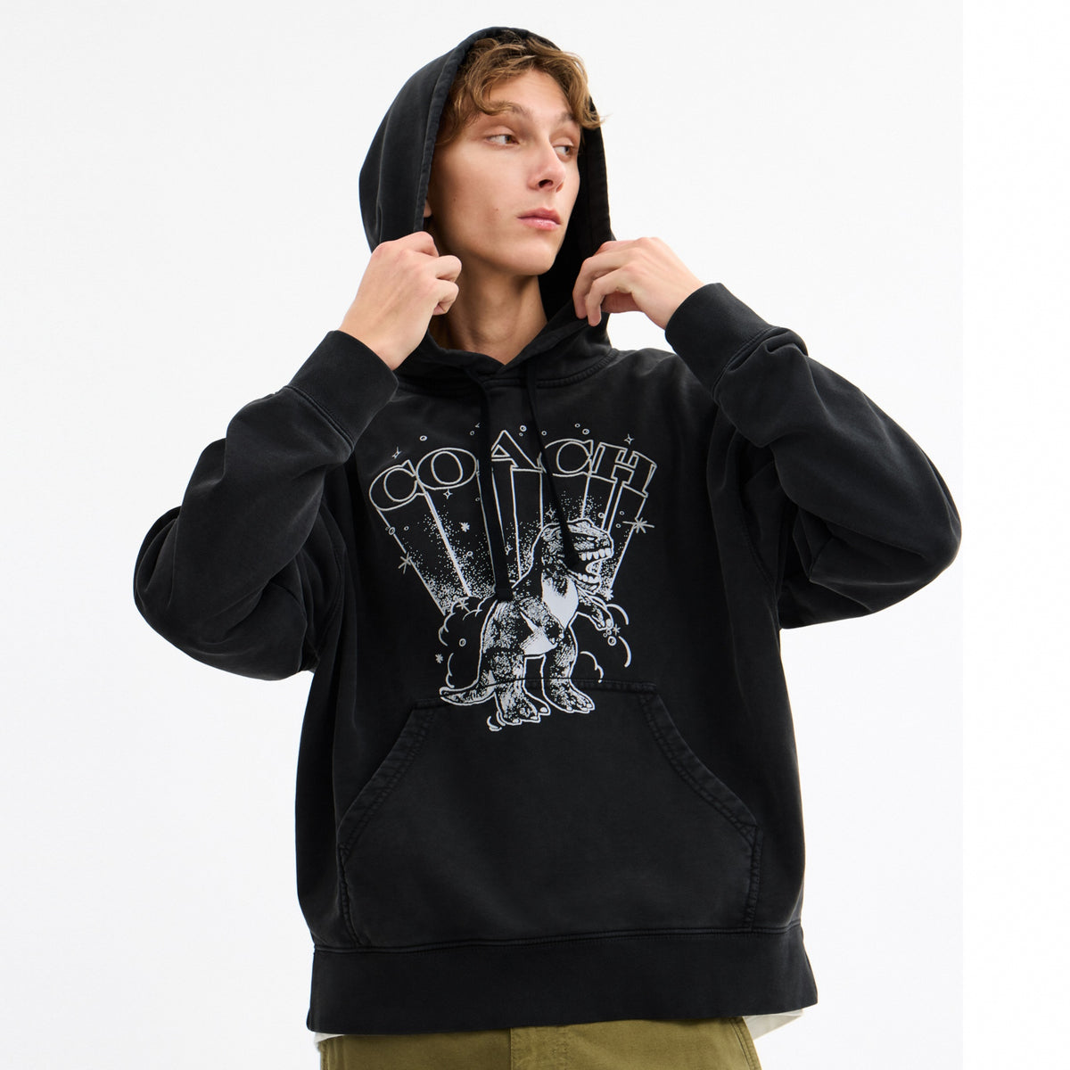 T-Rex Hoodie
