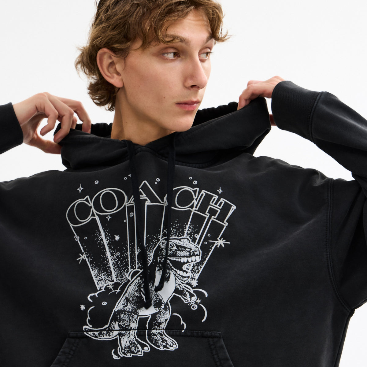 T-Rex Hoodie