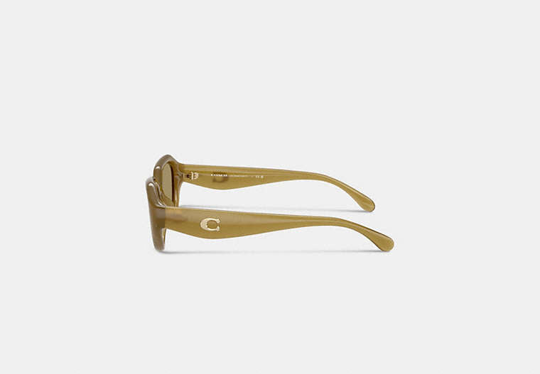 C Hardware Geometric Sunglasses