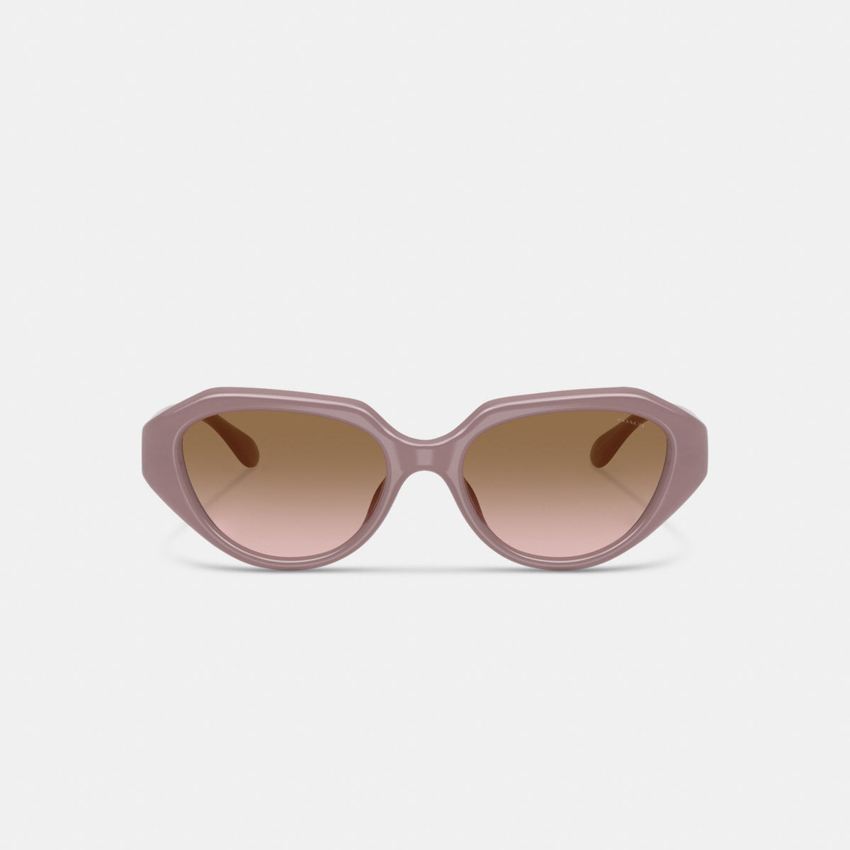 C Hardware Geometric Sunglasses