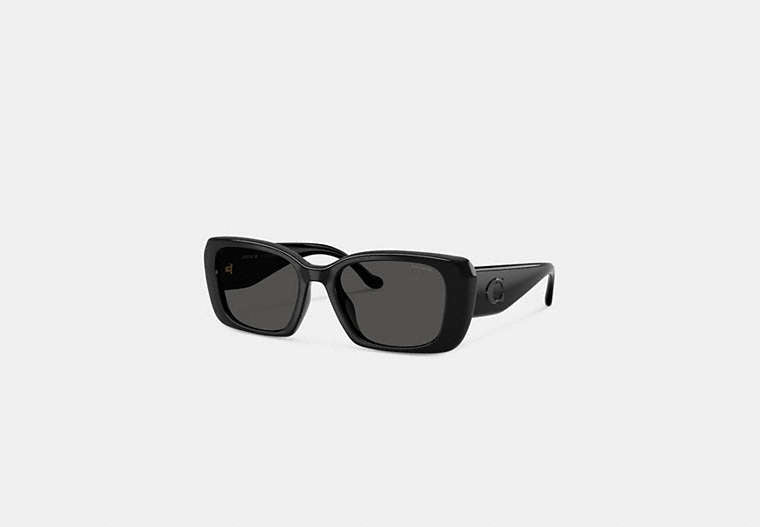 Maxi Sculpted C Oversized Rectangle Sunglasses