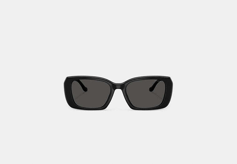 Maxi Sculpted C Oversized Rectangle Sunglasses