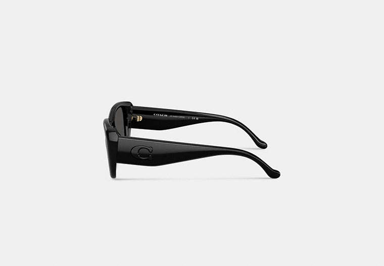 Maxi Sculpted C Oversized Rectangle Sunglasses