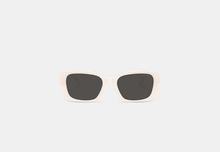 Maxi Sculpted C Oversized Rectangle Sunglasses