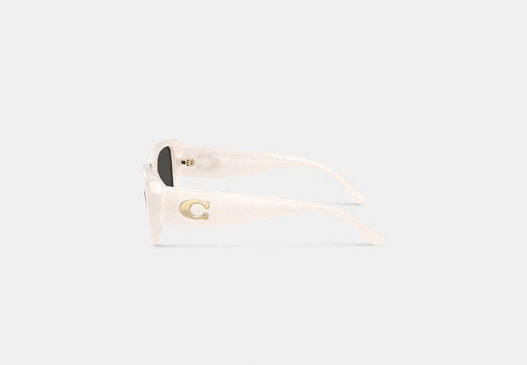 Maxi Sculpted C Oversized Rectangle Sunglasses