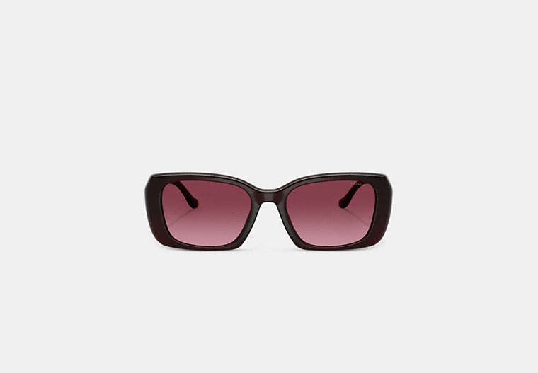 Maxi Sculpted C Oversized Rectangle Sunglasses