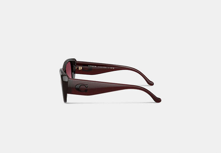 Maxi Sculpted C Oversized Rectangle Sunglasses
