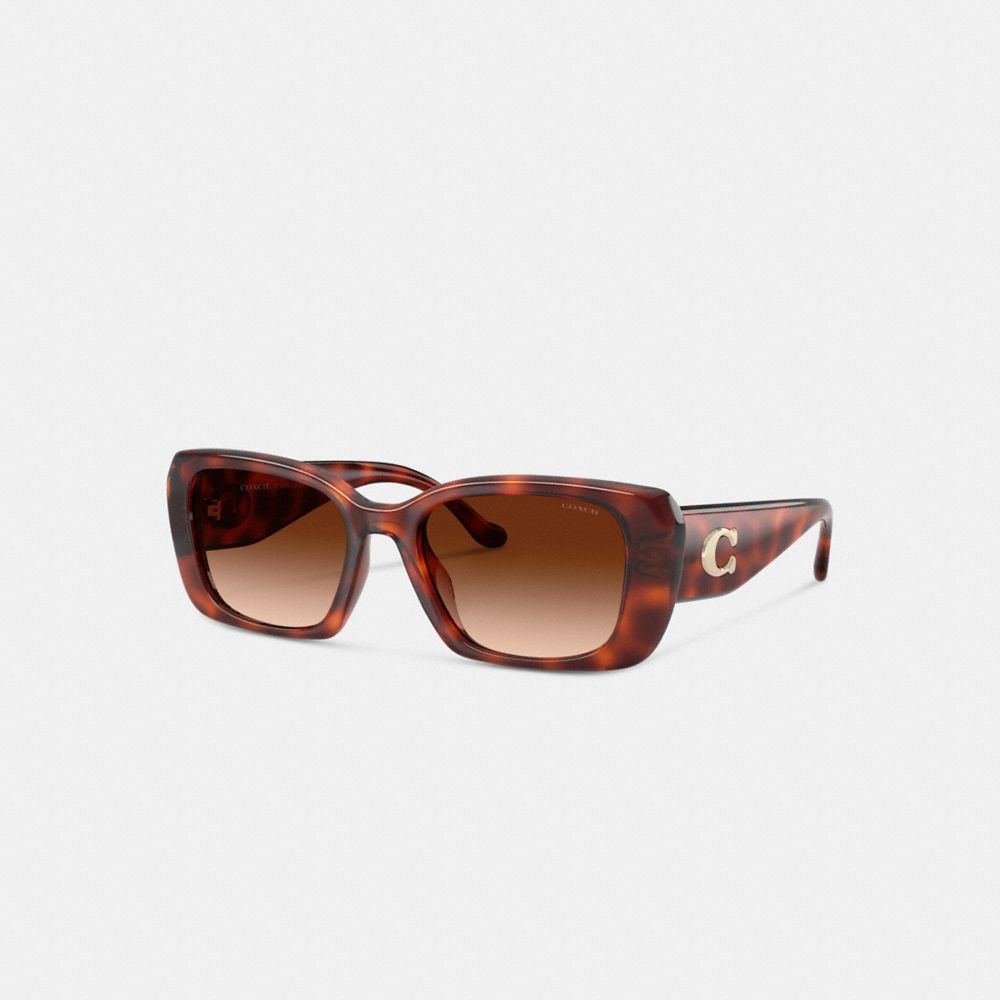 Maxi Sculpted C Oversized Rectangle Sunglasses