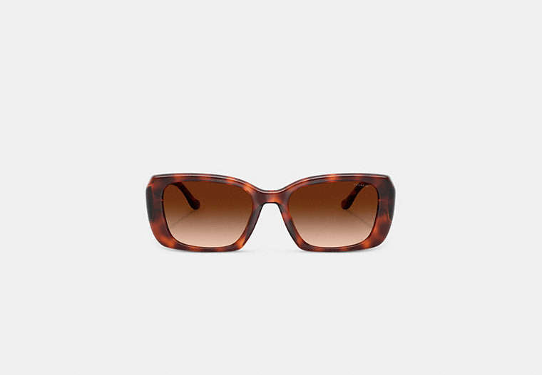 Maxi Sculpted C Oversized Rectangle Sunglasses