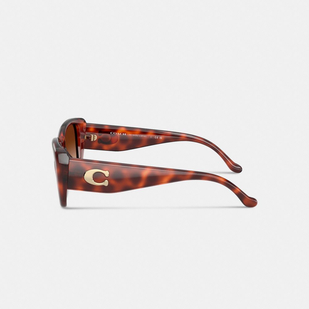 Maxi Sculpted C Oversized Rectangle Sunglasses