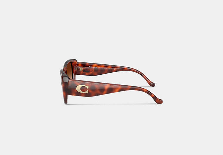 Maxi Sculpted C Oversized Rectangle Sunglasses
