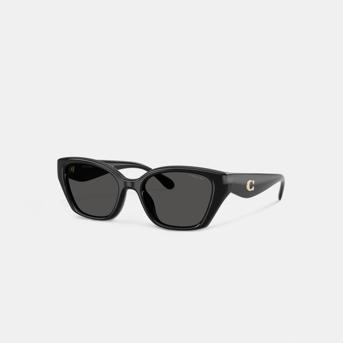 C Hardware Square Cat Eye Sunglasses