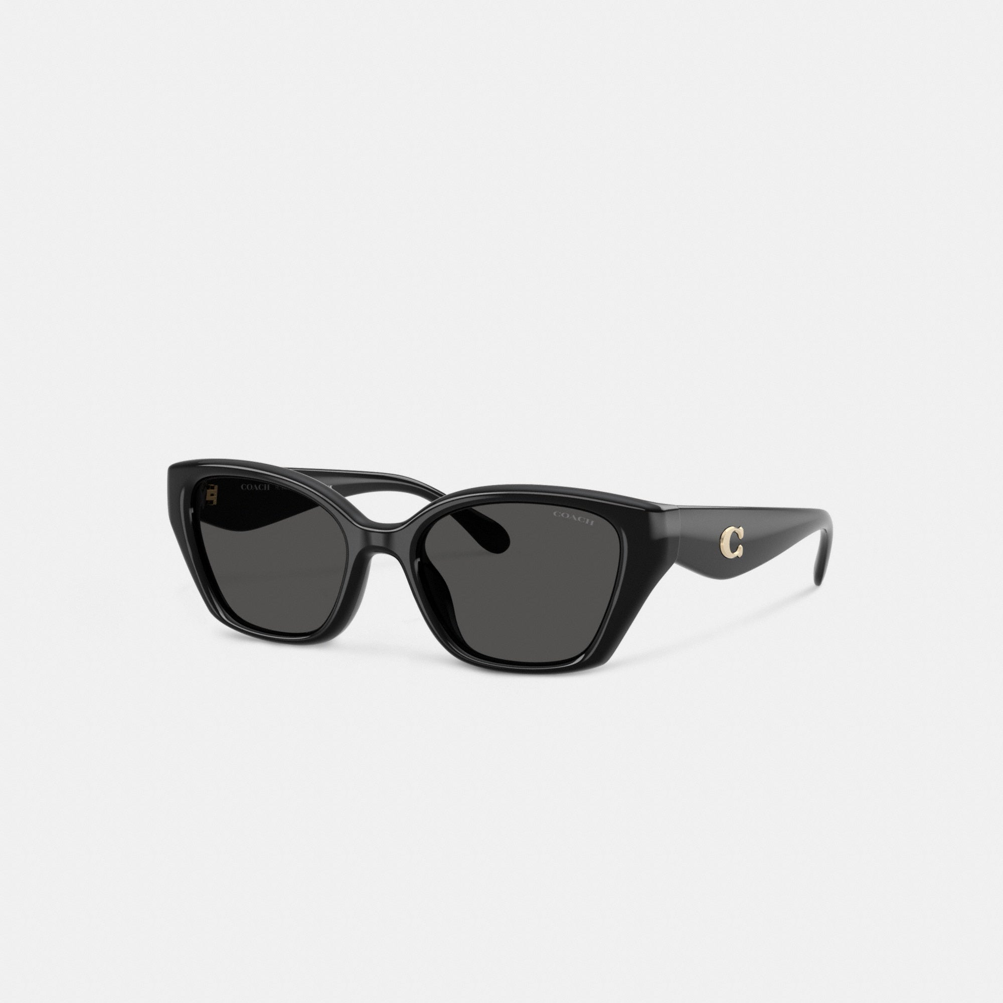 C Hardware Square Cat Eye Sunglasses