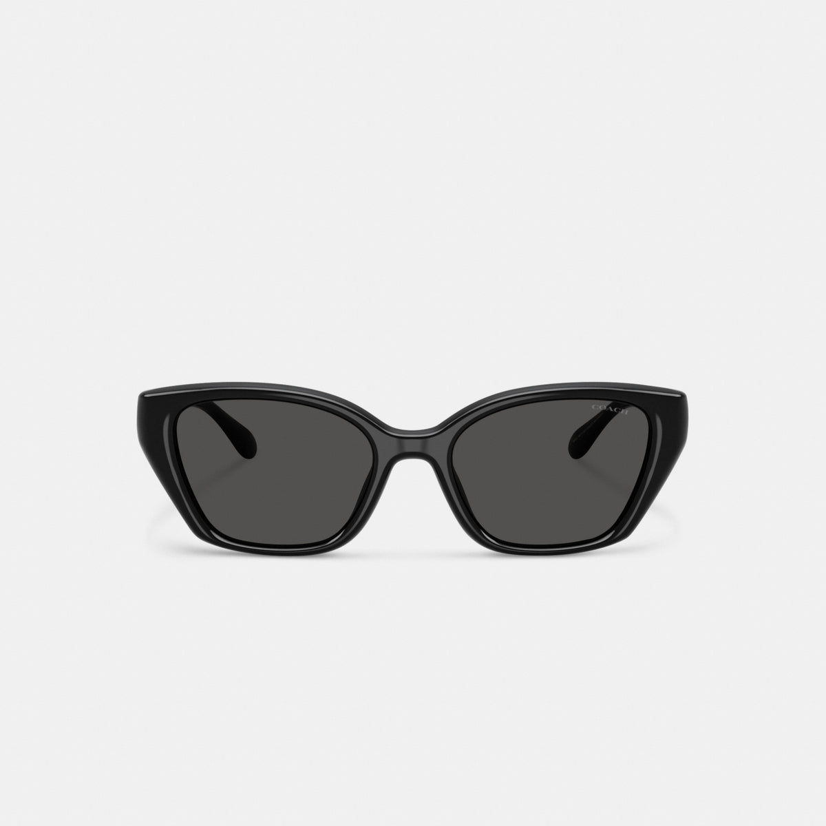 C Hardware Square Cat Eye Sunglasses