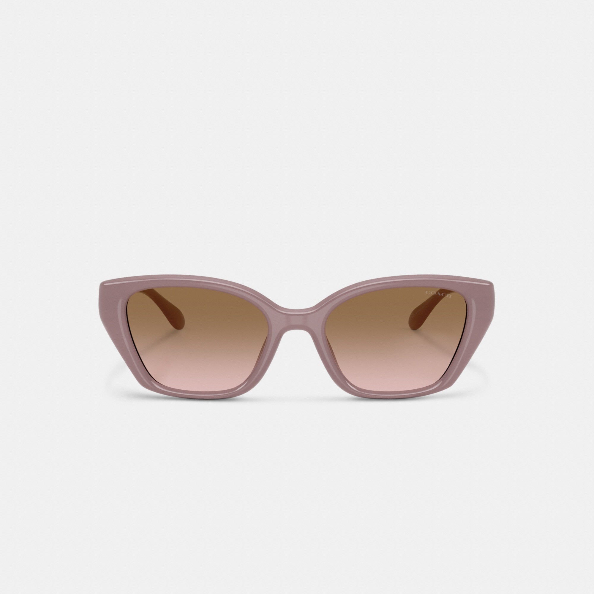 C Hardware Square Cat Eye Sunglasses