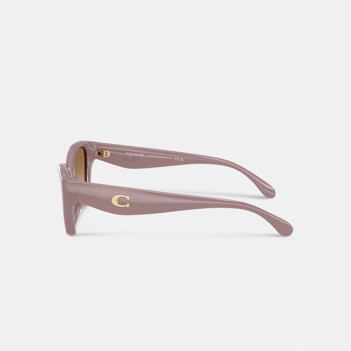 C Hardware Square Cat Eye Sunglasses