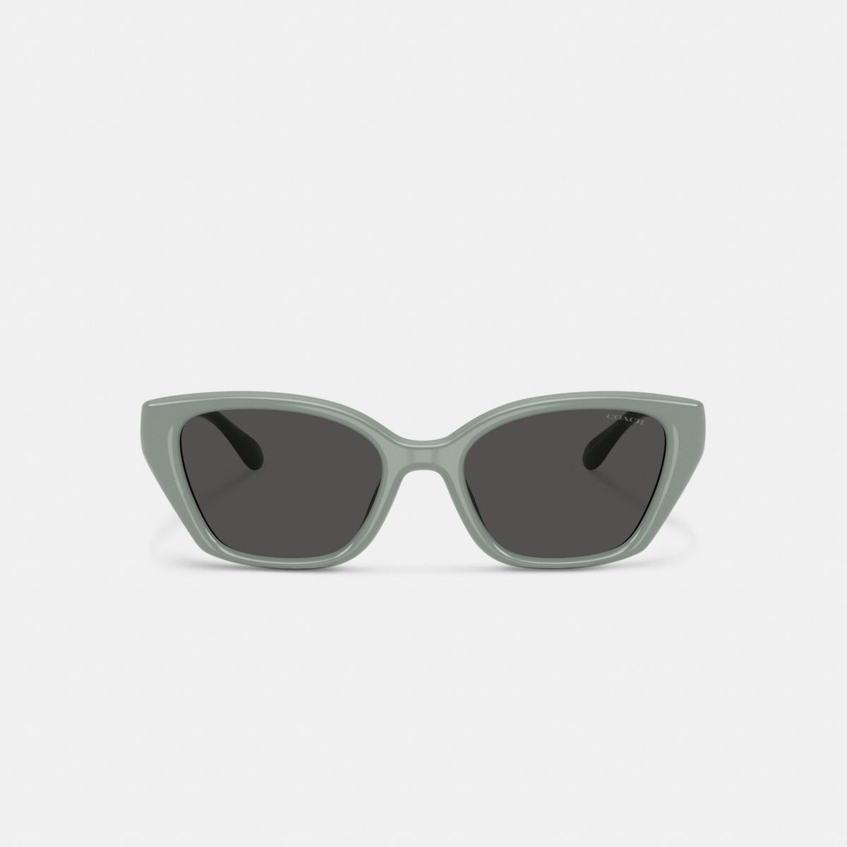 C Hardware Square Cat Eye Sunglasses