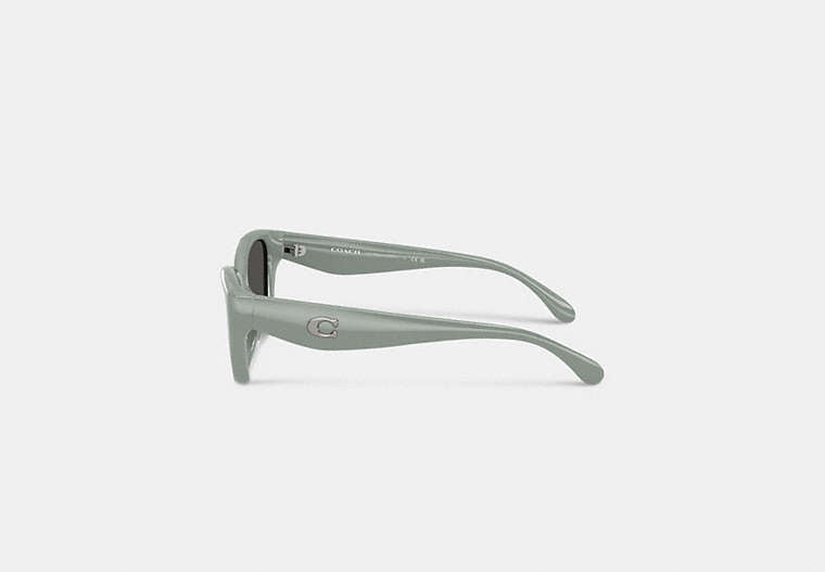 C Hardware Square Cat Eye Sunglasses