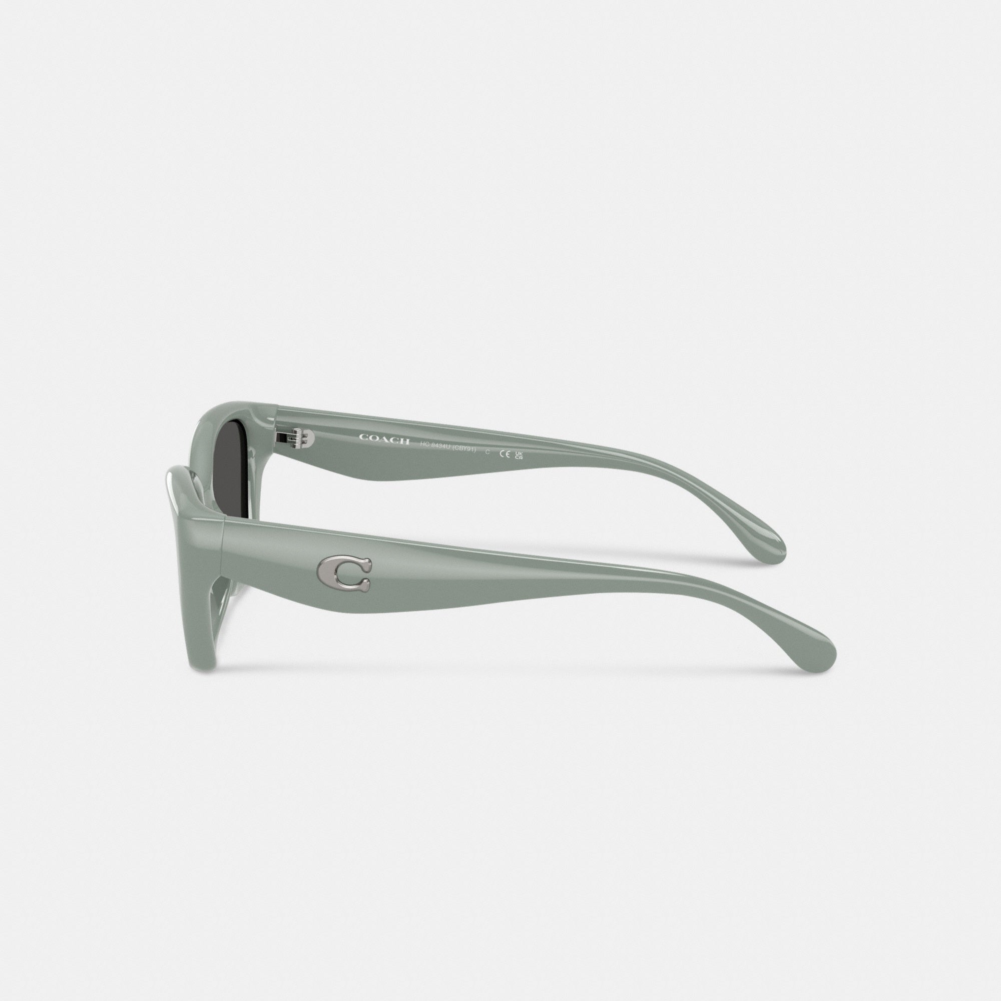 C Hardware Square Cat Eye Sunglasses