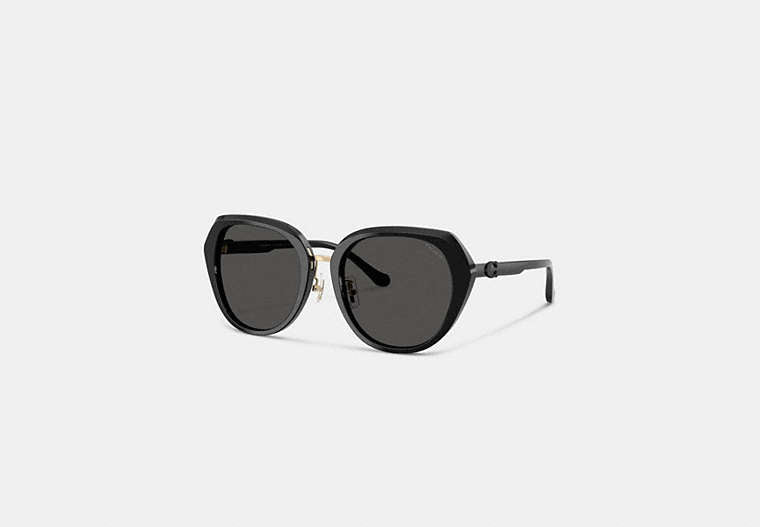 Maxi Sculpted C Oversized Round Sunglasses