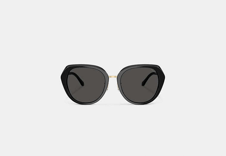 Maxi Sculpted C Oversized Round Sunglasses