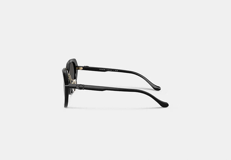 Maxi Sculpted C Oversized Round Sunglasses