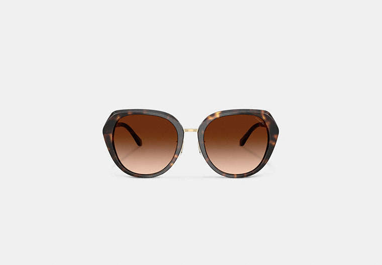 Maxi Sculpted C Oversized Round Sunglasses