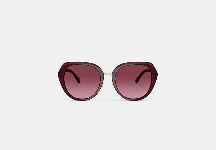 Maxi Sculpted C Oversized Round Sunglasses