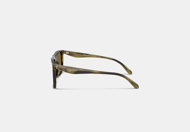 Flat Top Square Sunglasses