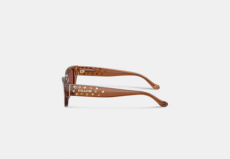 Charms Narrow Rectangle Sunglasses