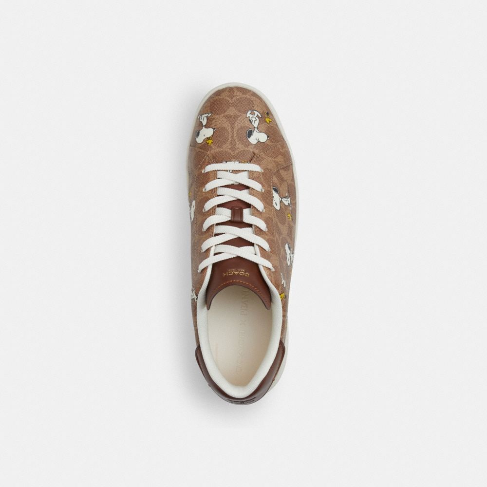 Coach X Peanuts High Line Sneaker In Signature Canvas With Snoopy Print