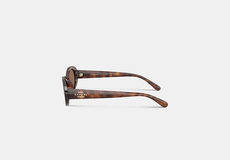 Narrow Oval Sunglasses