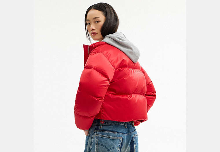 Short Cropped Puffer Jacket