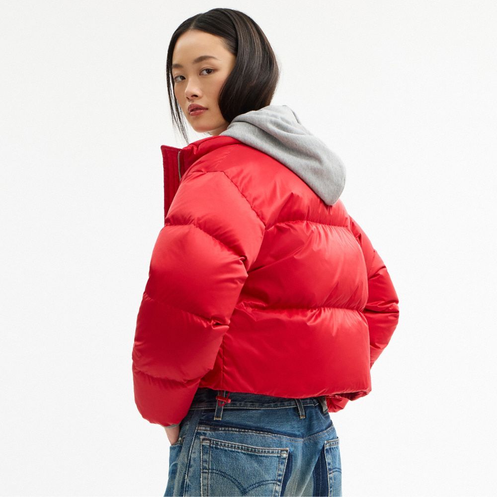 Short Cropped Puffer Jacket