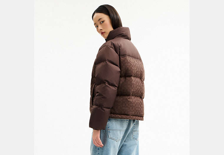Signature Down Jacket
