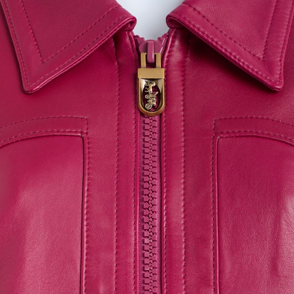 Restored Cropped Leather Blouson
