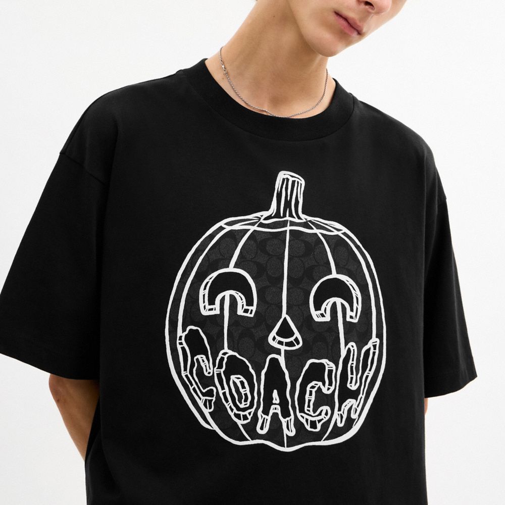 Pumpkin Relaxed T Shirt In Organic Cotton