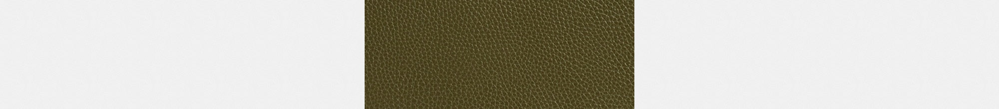 Carlyle Brief Bag