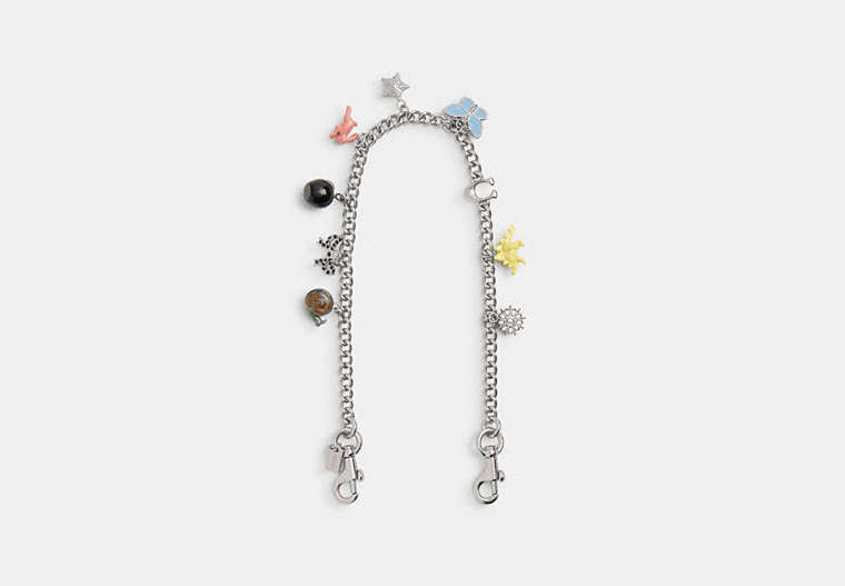 Chain Strap With Charms